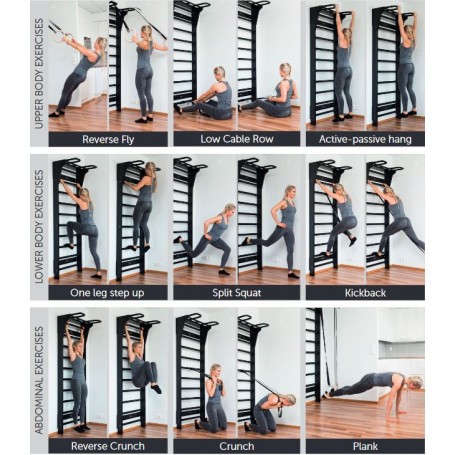 Fitwood wall bars AARNI birch Sharkfitness.ch