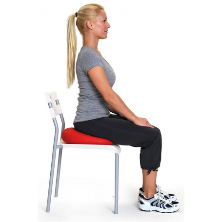 https://www.sharkfitness.ch/18540-medium_default/sissel-sitfit-seat-cushion-33cm.jpg