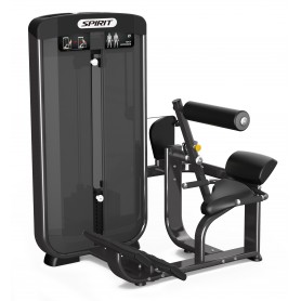 Spirit Fitness Commercial Back Extension (SP-3503) stations simples poids enfichables - 2