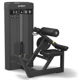 Spirit Fitness Commercial Back Extension (SP-4310) stations simples poids enfichables - 1