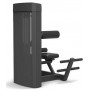 Spirit Fitness Commercial Back Extension (SP-4310) stations simples poids enfichables - 2