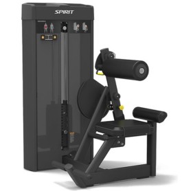 Spirit Fitness Commercial Abdominal (SP-4309) stations simples poids enfichables - 1