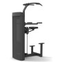 Spirit Fitness Commercial Pull Up / Dip Assist (SP-4314) stations individuelles poids enfichable - 2