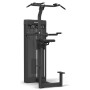 Spirit Fitness Commercial Pull Up / Dip Assist (SP-4314) stations individuelles poids enfichable - 1