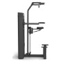 Spirit Fitness Commercial Pull Up / Dip Assist (SP-4314) single station plug-in weight - 3