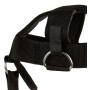 Schiek Head Harness - neck trainer (1500H) Handles - 7