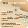 All Stars Collagen Peptides, 300g can Vitamins & Minerals - 3