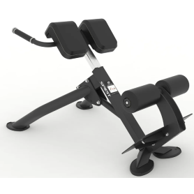 Spirit Fitness Commercial Back Extension Bench (SP-4220) Shark Fitness - 1