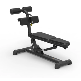 Spirit Fitness Commercial Adjustable Ab Bench (SP-4218) Shark Fitness - 2