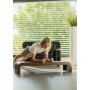 NOHrD StepBox cherry training benches - 61